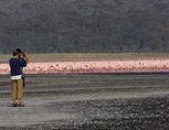 36-1-Flamingos-at-Lake-Naku.jpg