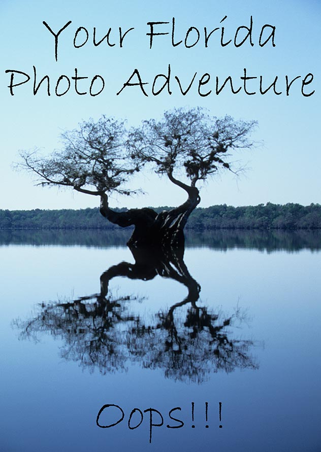 56A_FloridaHeader2.jpg