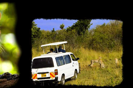 wildlife photo safari