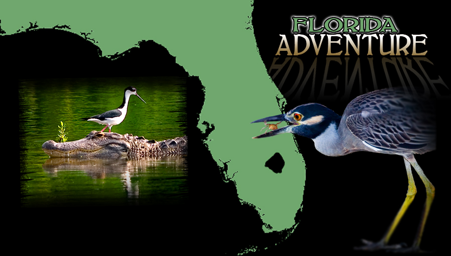 Florida Nature Photography Workshops