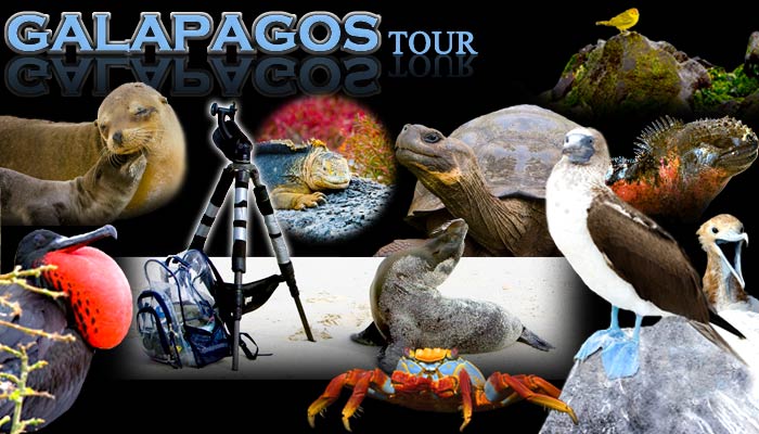 Galapagos Photography Workshop